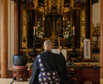 供養提案