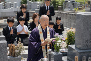 墓じまいの検討